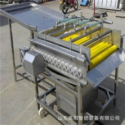 現(xiàn)貨土豆去皮毛輥清洗機(jī) 豬蹄羊蹄清洗機(jī) 芋頭中藥材毛輥清洗機(jī)