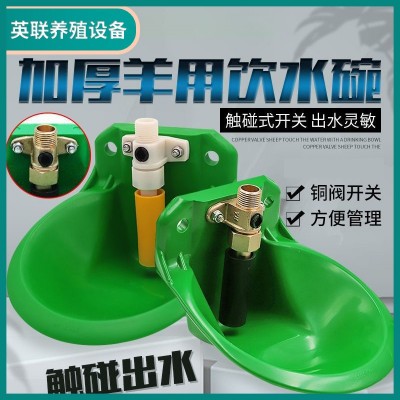 牛飲水碗 牛用飲水碗自動飲水器喂水吃水碗養(yǎng)牛牛喝水碗飲水槽