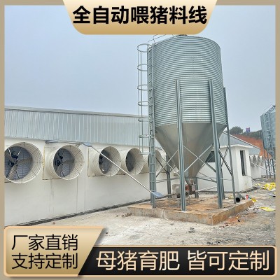 豬場全自動料線 養(yǎng)豬喂料設(shè)備 豬場養(yǎng)殖設(shè)備 塞盤絞龍料塔配件料