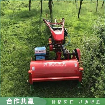 農(nóng)用開荒種植碎草機(jī) 汽油柴油動(dòng)力除草機(jī) 手扶自走式前置滅草機(jī)