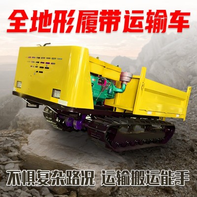 路特威履帶式運(yùn)輸車 座駕式爬山虎搬運(yùn)車 全地形農(nóng)用柴油自卸車