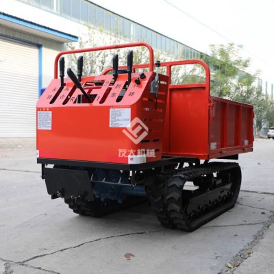 丘陵運輸車 爬山王 草原運輸車 履帶四驅(qū)四不像車 運輸四驅(qū)車