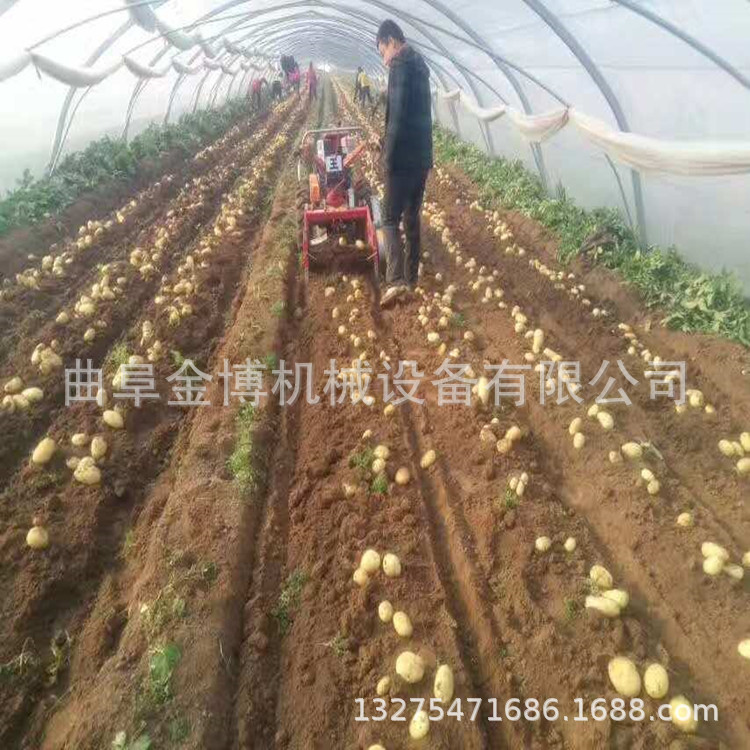 土豆收獲機(jī)