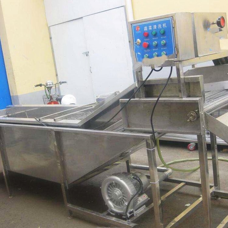 高壓氣泡水果清洗設(shè)備 商用洗菜機(jī)食品去污清洗機(jī)