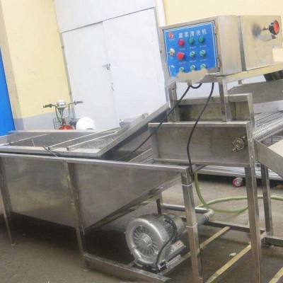 高壓氣泡水果清洗設(shè)備 商用洗菜機食品去污清洗機