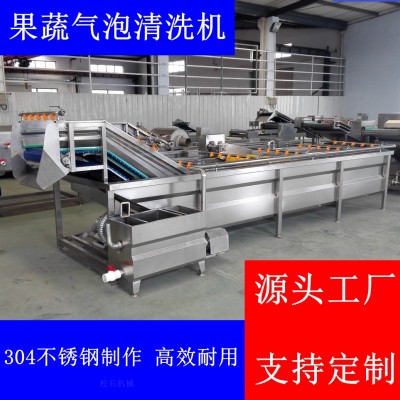 菌菇類(lèi)山野菜噴淋氣泡清洗加工流水線 軟包裝袋洗袋烘干機(jī) 松石