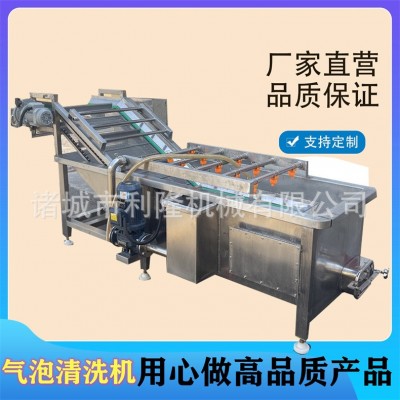 全自動果蔬食材清洗機 大姜清洗泥沙機 小白菜油菜氣泡清洗機