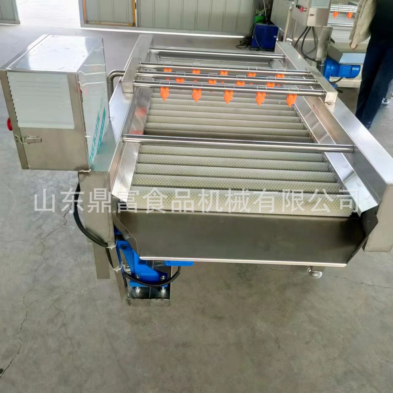 新鮮葉菜類(lèi)清洗機(jī) 大批量蔬菜葉子清洗設(shè)備 鼓泡清洗機(jī)配高壓噴淋