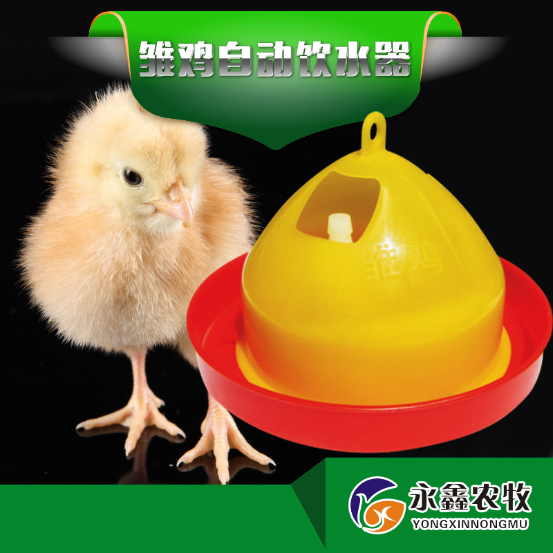 雛雞自動(dòng)飲水器主圖
