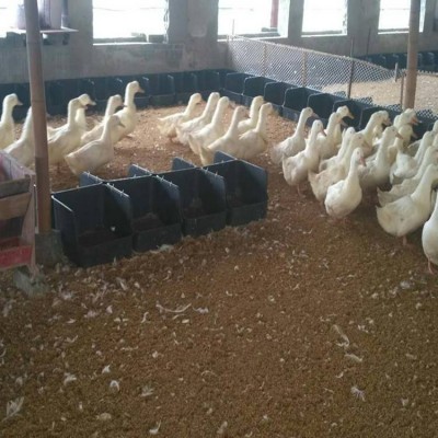 無(wú)底鴨蛋窩 鴨子生蛋筐 黑色加厚鴨蛋窩 種鴨產(chǎn)蛋窩批發(fā)零售