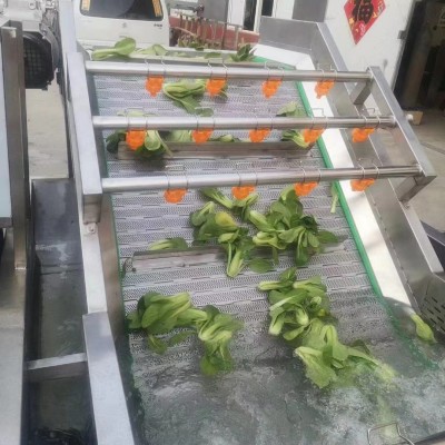 全自動果蔬海鮮氣泡清洗機 噴淋式不銹鋼清洗設備 預制菜加工設備