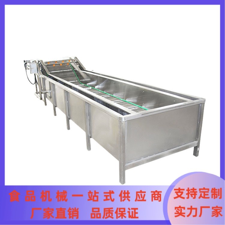 大型商用蔬菜清洗流水線(xiàn) 果蔬氣泡清洗機(jī) 餐廳洗菜機(jī) 凈菜加工設(shè)備