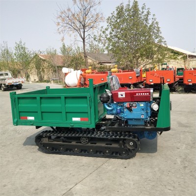 2噸座駕履帶運(yùn)輸車 全地形爬山虎 水田防陷履帶運(yùn)輸車