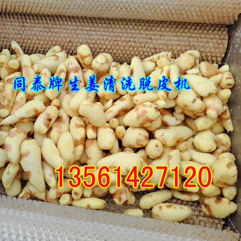 生姜脫皮機(jī)3