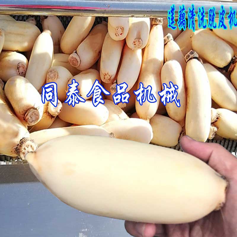 蓮藕清洗脫皮機(jī)1
