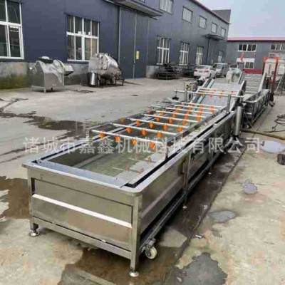 全自動(dòng)海帶清洗機(jī) 裙帶菜氣泡翻滾清洗設(shè)備 海白菜洗菜清洗流水線