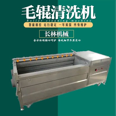 海產(chǎn)品清洗機(jī) 不銹鋼毛刷清洗機(jī) 平行毛輥清洗機(jī)