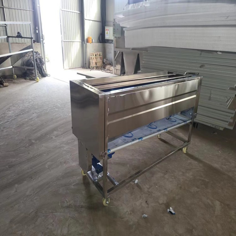 果蔬毛刷輥清洗拋光增亮機(jī)適用于紅棗圓形等根果類物料清洗廠家