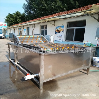源頭廠家供應(yīng)楊梅黃桃氣泡清洗機(jī) 全自動高壓噴淋清洗機(jī)