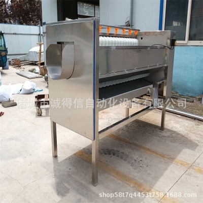 商用大型全自動果蔬毛輥脫皮清洗機(jī) 馬蹄蓮藕毛刷脫皮清洗機(jī)