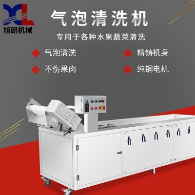 旭朗氣泡清洗機(jī)全自動小型葡萄紅棗水果風(fēng)干洗菜機(jī)果蔬清洗機(jī)工廠