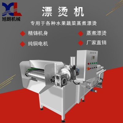 旭朗全自動蒸煮漂燙機(jī)豆角紅薯干黃桃水果食品巴氏蔬果漂燙機(jī)廠家