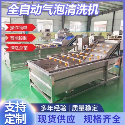全自動蘋果氣泡清洗機(jī)不銹鋼商用預(yù)制菜清洗設(shè)備果蔬氣泡清洗機(jī)