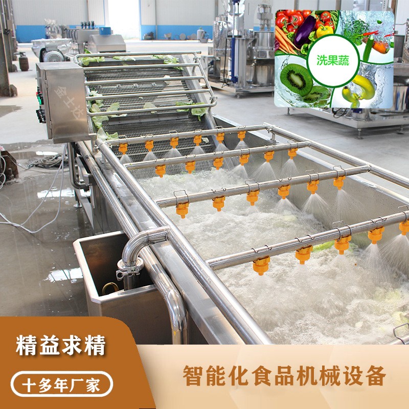 瓜果蔬菜清洗機 草莓氣泡清洗機器 海鮮水產品根莖類清洗風干線