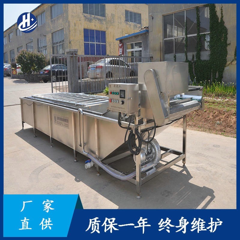 果蔬氣泡清洗機 廠家供應紅棗氣泡噴淋清洗設備 葉類蔬菜氣泡清洗