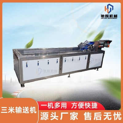 馳輝機(jī)械大型無損果蔬清洗機(jī) 連續(xù)式菠蘿清洗機(jī) 柚子氣泡清洗機(jī)