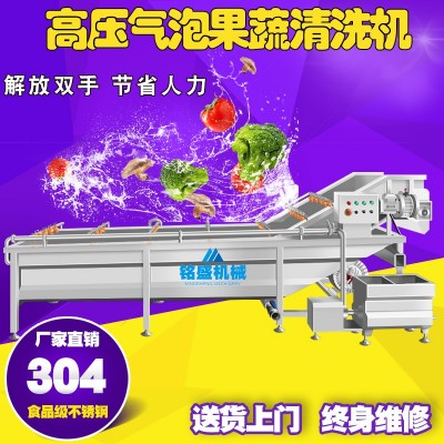 全自動(dòng)蔬菜清洗機(jī) 不銹鋼榨菜加工生產(chǎn)線設(shè)備 剁椒氣泡清洗機(jī)