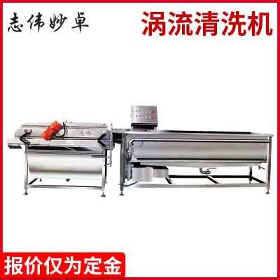渦流洗菜機(jī) 果蔬氣泡清洗機(jī) 自動洗菜機(jī)渦流震動瀝水洗菜機(jī)