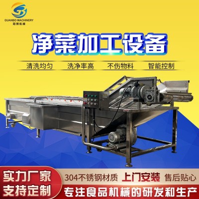 大型高壓噴淋氣泡清洗機(jī) 葉類菜韭菜清洗機(jī) 多功能芹菜清洗流水