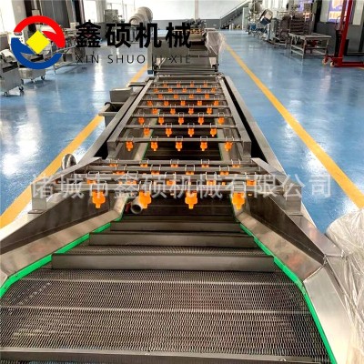 菌菇類加工清洗生產(chǎn)流水線 香菇片木耳絲清洗流水線 氣泡式清洗機(jī)