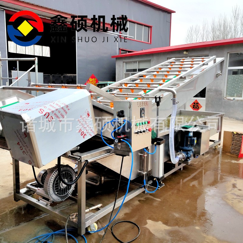 廠(chǎng)家供應(yīng)氣泡清洗機(jī) 不銹鋼材質(zhì)果蔬清洗線(xiàn) 彩椒金針菇清洗機(jī)設(shè)備