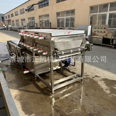 大姜高壓噴淋清洗機 地瓜紅薯洗泥沙清洗設(shè)備 蓮藕洗泥機