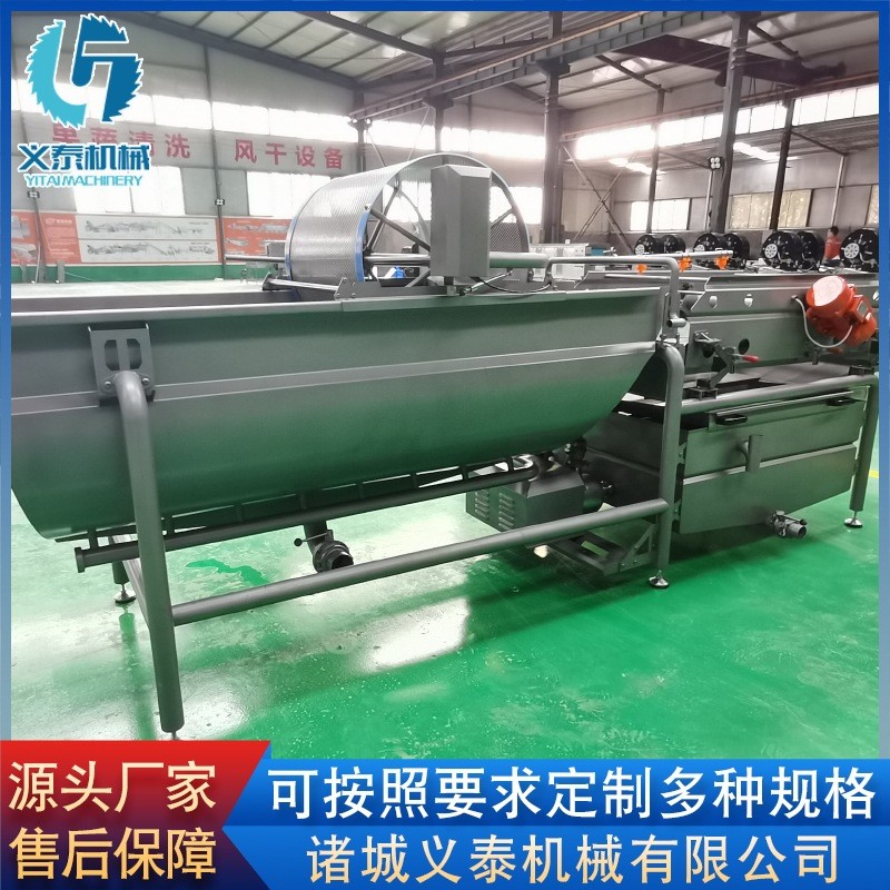 芹菜段渦流清洗機(jī) 全自動(dòng)果蔬清洗機(jī)設(shè)備 供應(yīng)薄荷葉渦流清洗機(jī)
