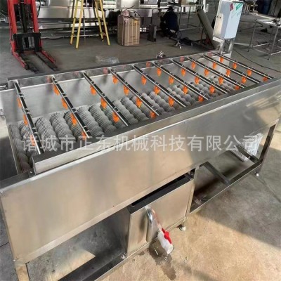 芋頭地瓜清洗機(jī) 根莖類(lèi)蔬菜毛輥清洗設(shè)備 胡蘿卜毛輥清洗機(jī)