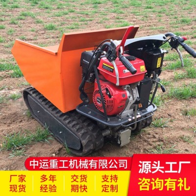 廠家直銷農(nóng)用自卸履帶運輸車 農(nóng)用自卸履帶運輸車現(xiàn)貨批發(fā) 運輸車