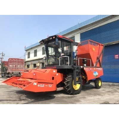 金九源4QZ-12自走式青飼料收獲機(jī)