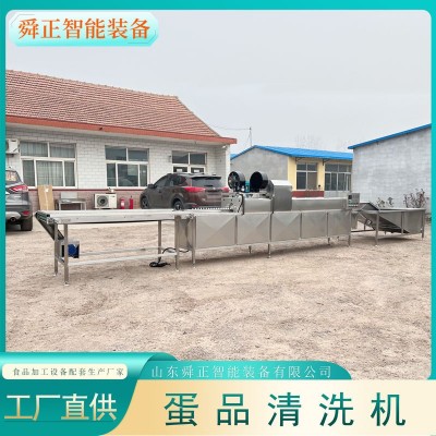 諸城雞蛋鴨蛋清洗機(jī) 單排保潔蛋清洗設(shè)備 雞蛋清洗光檢噴碼一體機(jī)