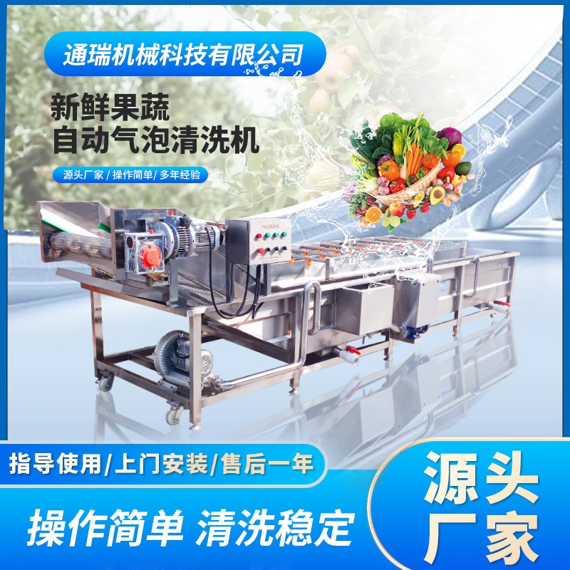 多功能氣泡清洗機(jī) 商用楊梅蔓越莓清洗機(jī)器 全自動(dòng)噴淋氣泡清洗機(jī)