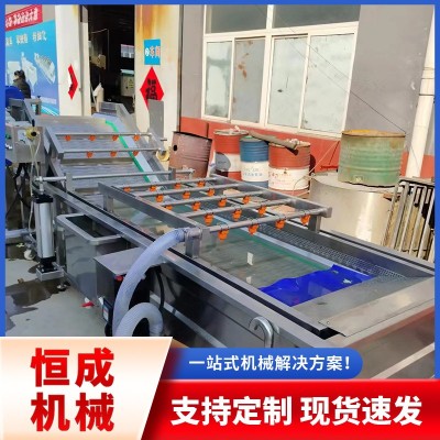 多種蔬菜水果藥材大型噴淋清洗流水線大姜小龍蝦高壓噴淋清洗機(jī)