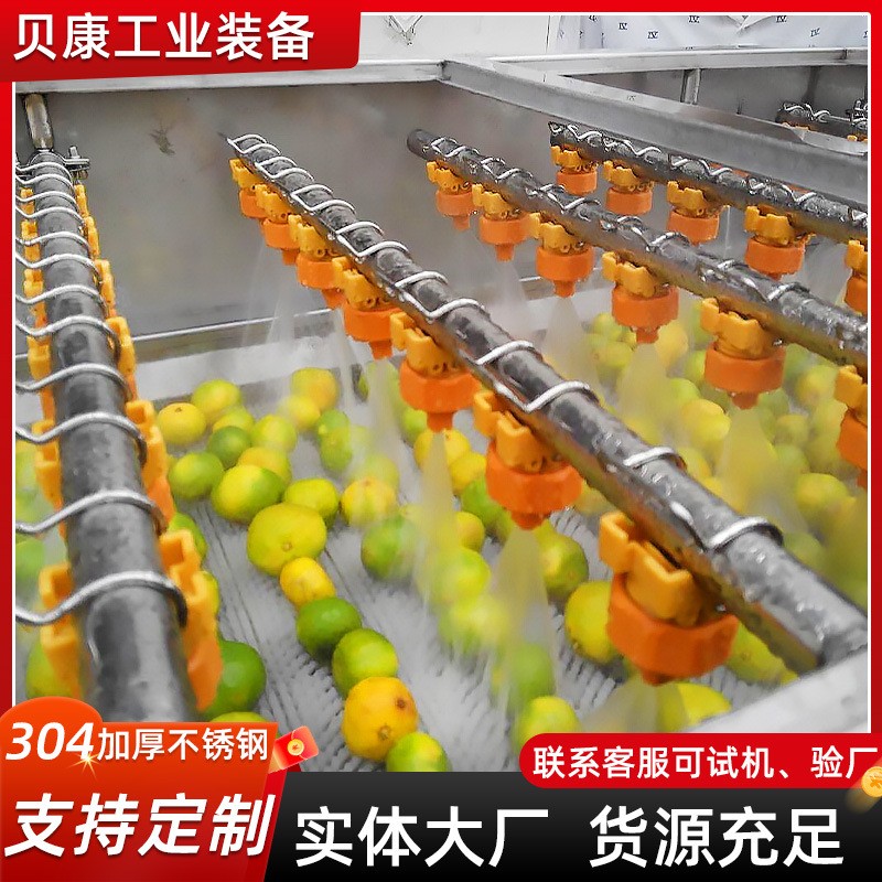 草莓枇杷果氣泡清洗設(shè)備 石榴清洗機(jī) 全自動不銹鋼果蔬清洗機(jī)