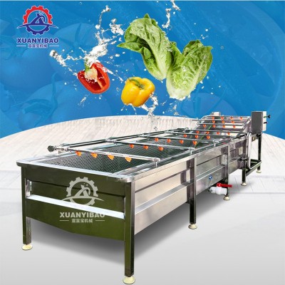 廠家供應(yīng)全自動(dòng)果蔬清洗機(jī) 胡桃青皮清洗機(jī) 氣泡沖浪式榛子清洗機(jī)