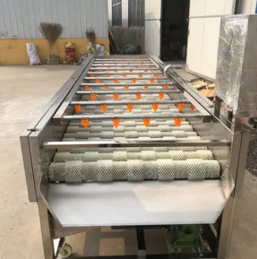 海蠣子毛刷清洗機(jī) 白蘿卜平行毛輥清洗機(jī) 牡蠣毛輥清洗設(shè)備