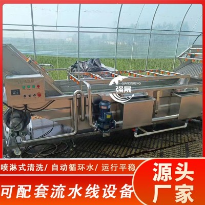 檸檬氣泡清洗機(jī) 鼓泡式金桔芒果清洗去雜機(jī) 噴淋式百香果清洗機(jī)