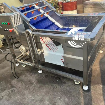 龍門提升式藥材清洗機(jī) 噴淋式丹參天冬去泥沙機(jī) 商用天麻清洗機(jī)