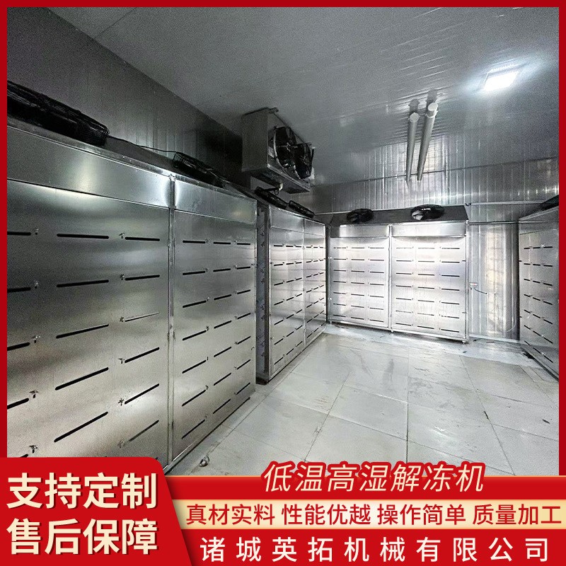 雞鴨魚(yú)低溫高濕解凍機(jī) 肉禽類解凍房 牛羊肉解凍設(shè)備豬肉緩化間