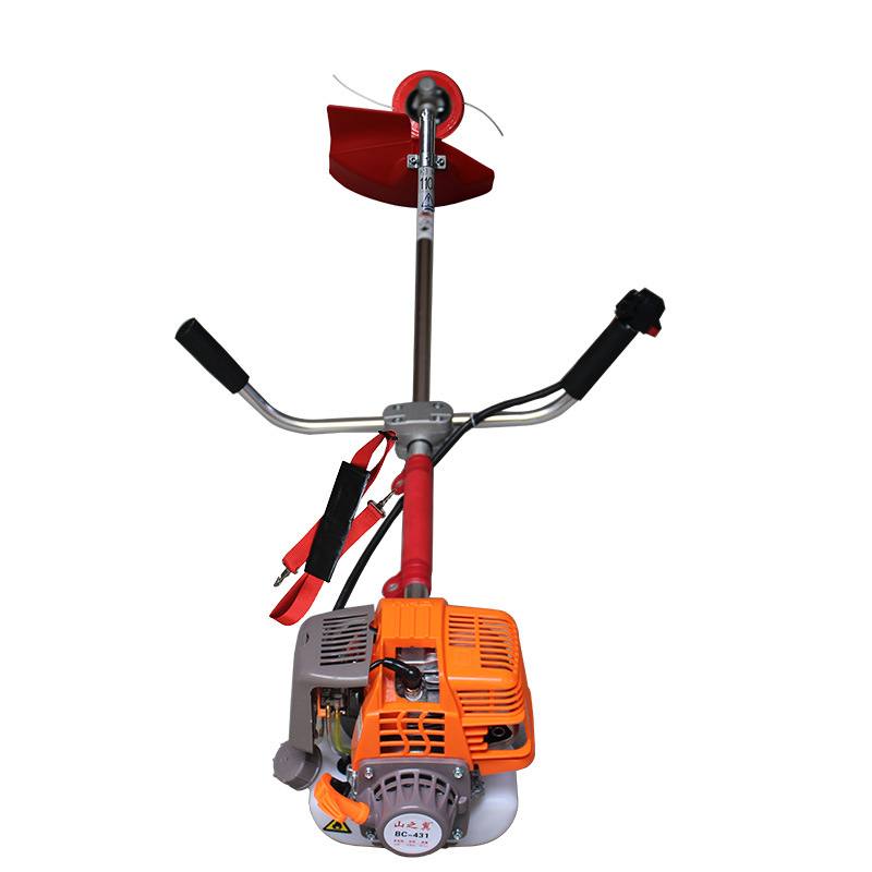 IMG_zhutu11050 - 副本